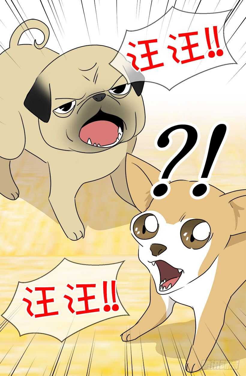《被废弃的皇妃》意外发现秘密 第8页