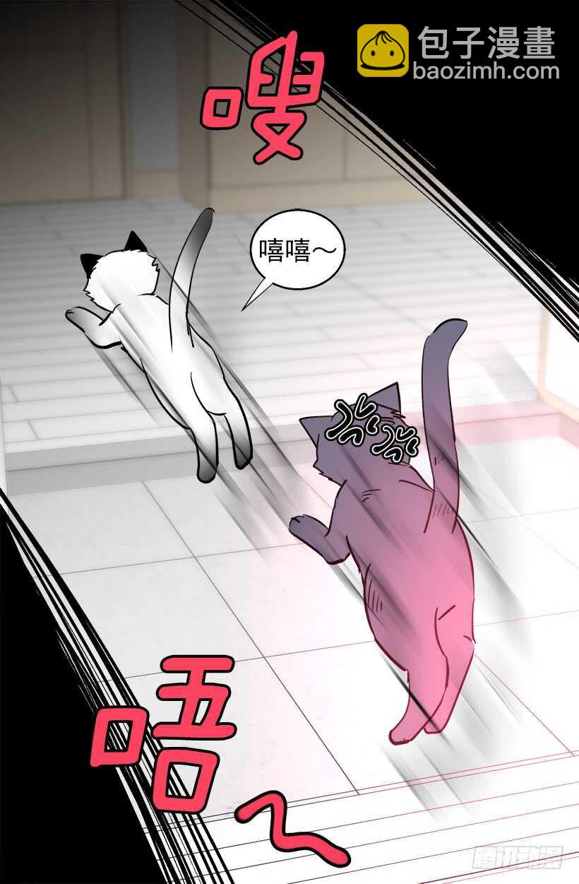 《被废弃的皇妃》太子回归 第11页