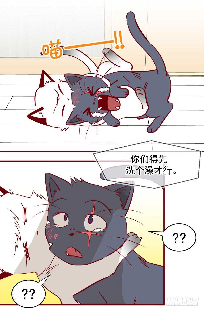《被废弃的皇妃》太子回归 第13页