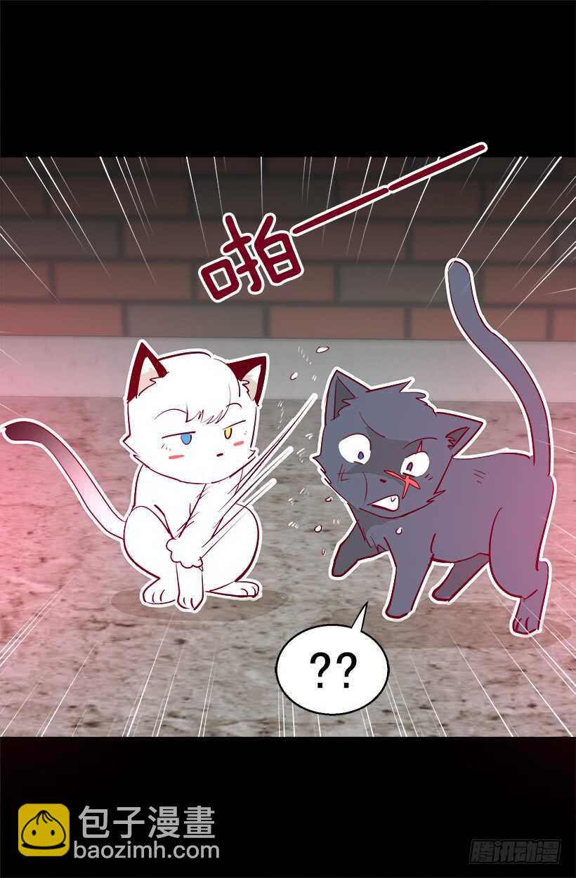 《被废弃的皇妃》太子回归 第8页