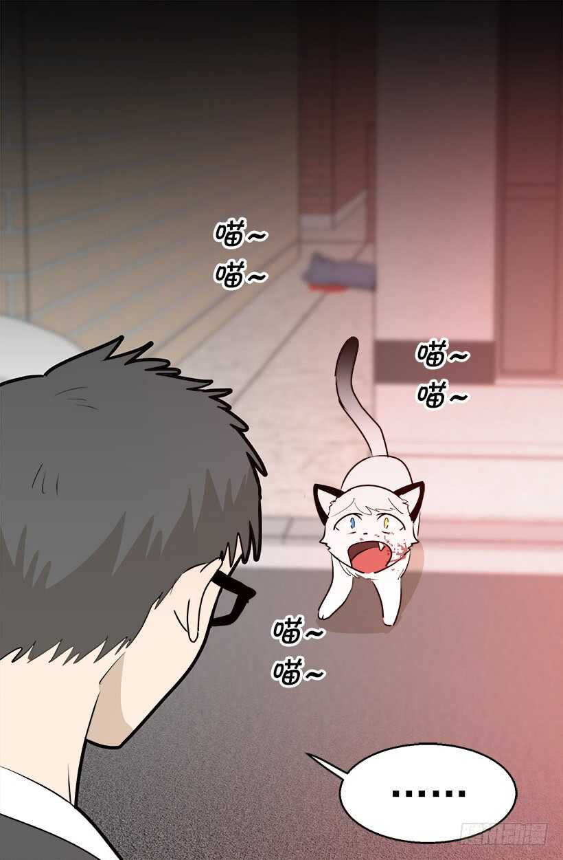 《被废弃的皇妃》我有话要说 第5页
