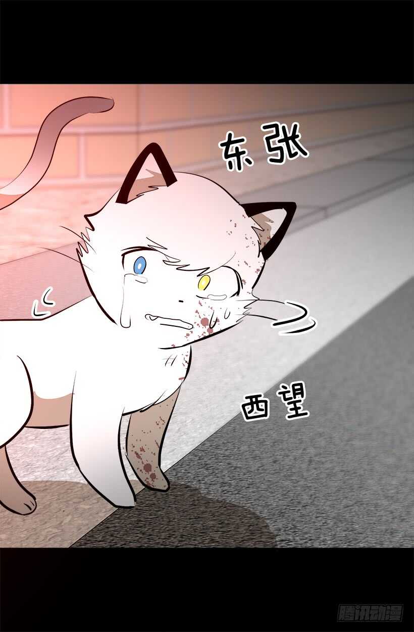 《被废弃的皇妃》我有话要说 第7页
