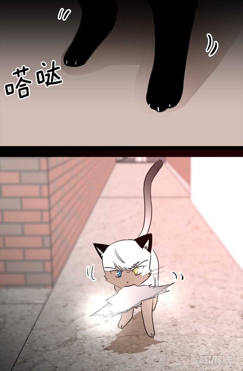 《被废弃的皇妃》尴尬场面 第12页