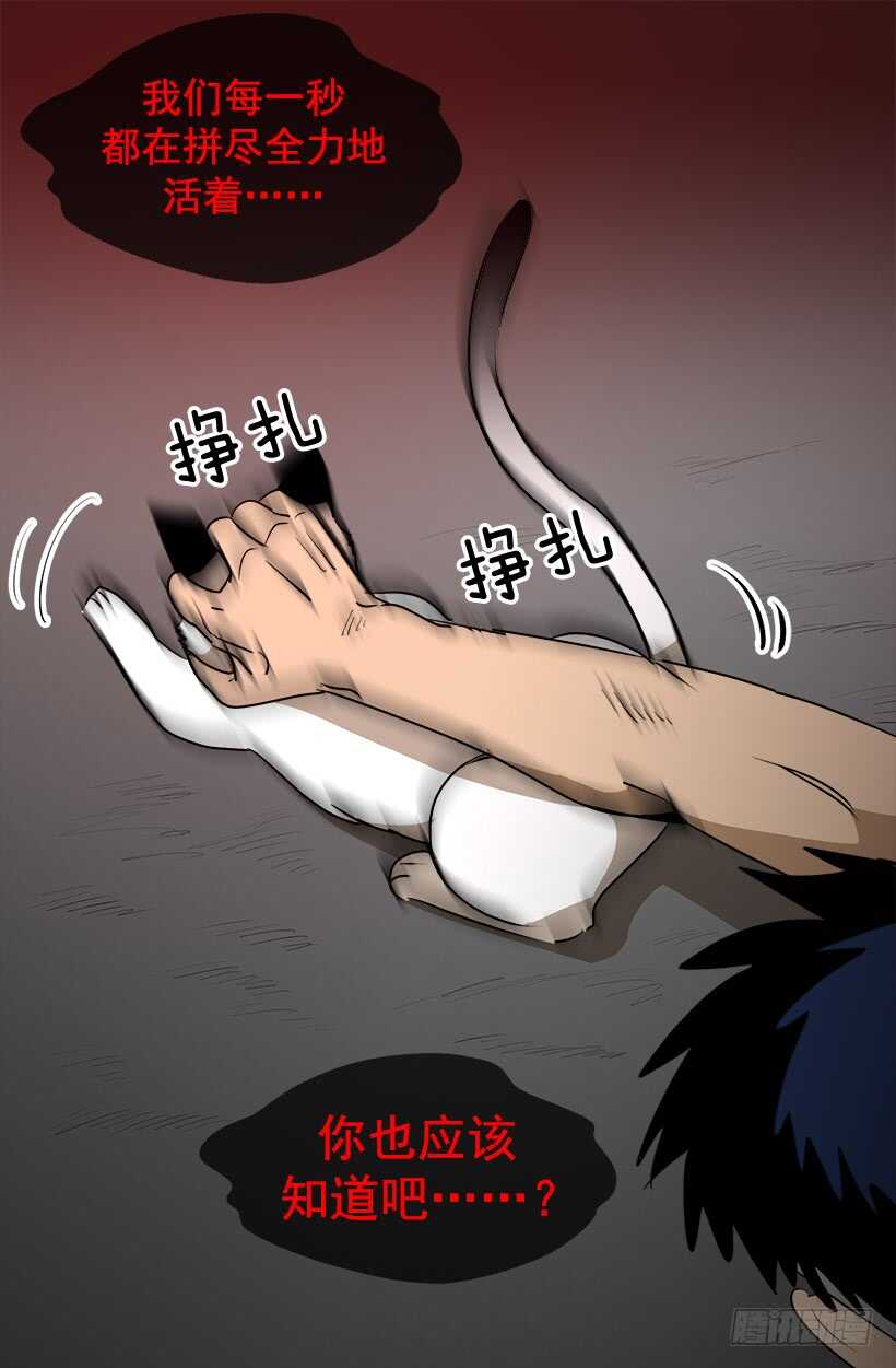 《被废弃的皇妃》尴尬场面 第19页