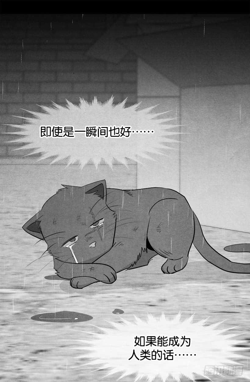 《被废弃的皇妃》火灾 第17页