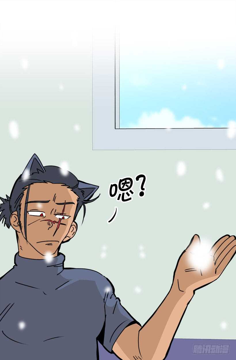 《被废弃的皇妃》煺婚事宜 第10页