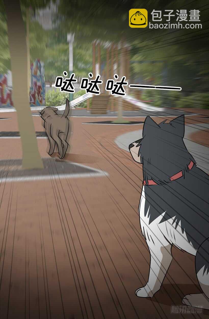 《被废弃的皇妃》奇特的树 第17页