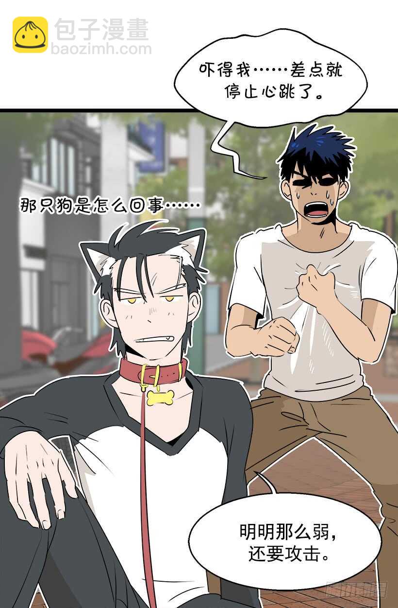 《被废弃的皇妃》奇特的树 第18页