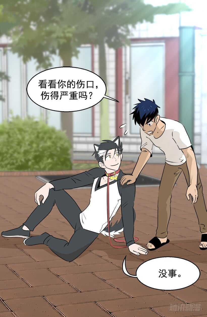 《被废弃的皇妃》奇特的树 第19页