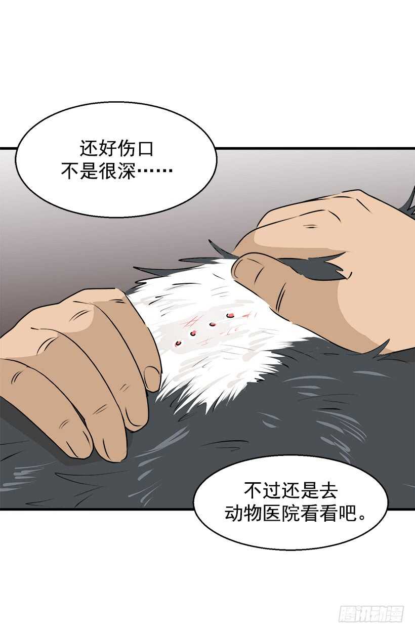 《被废弃的皇妃》奇特的树 第20页