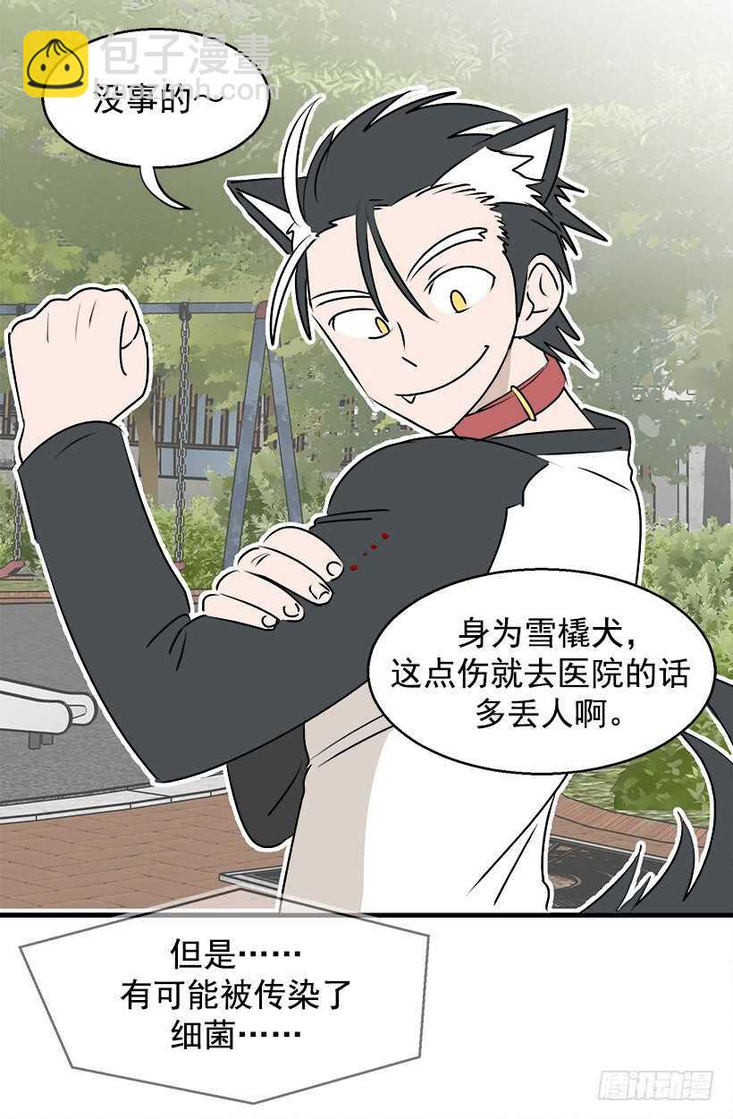 《被废弃的皇妃》奇特的树 第21页