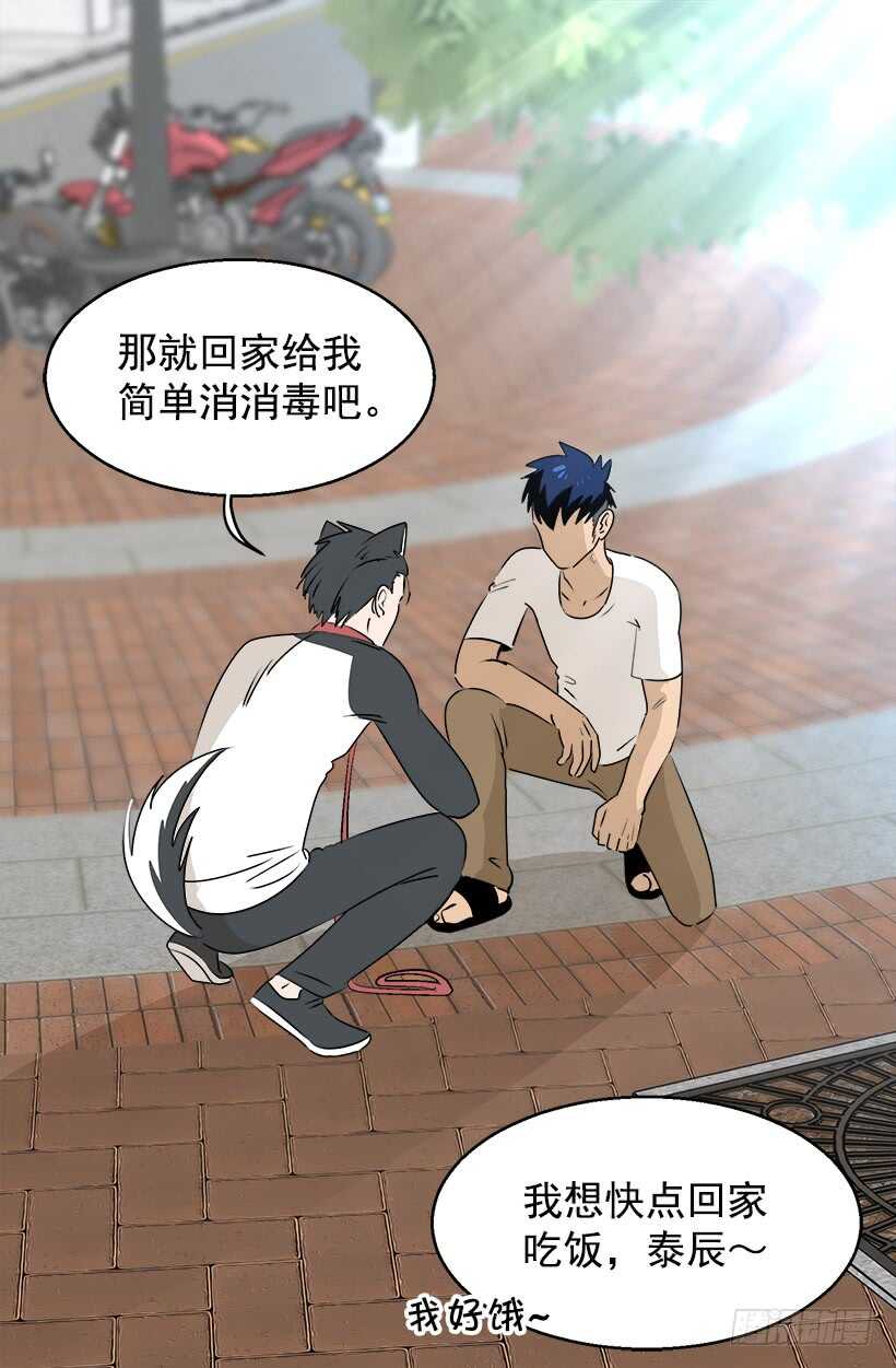 《被废弃的皇妃》奇特的树 第22页