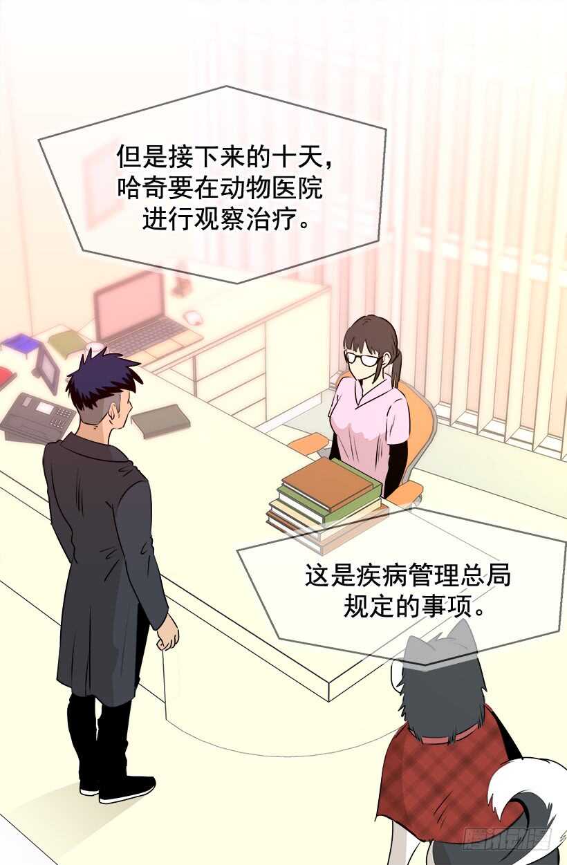 《被废弃的皇妃》赴宴 第13页