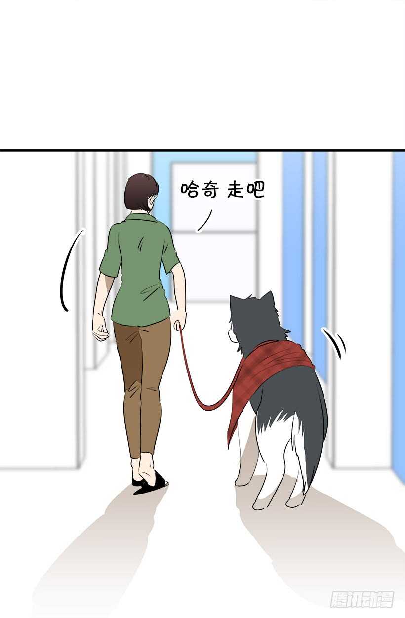 《被废弃的皇妃》赴宴 第16页