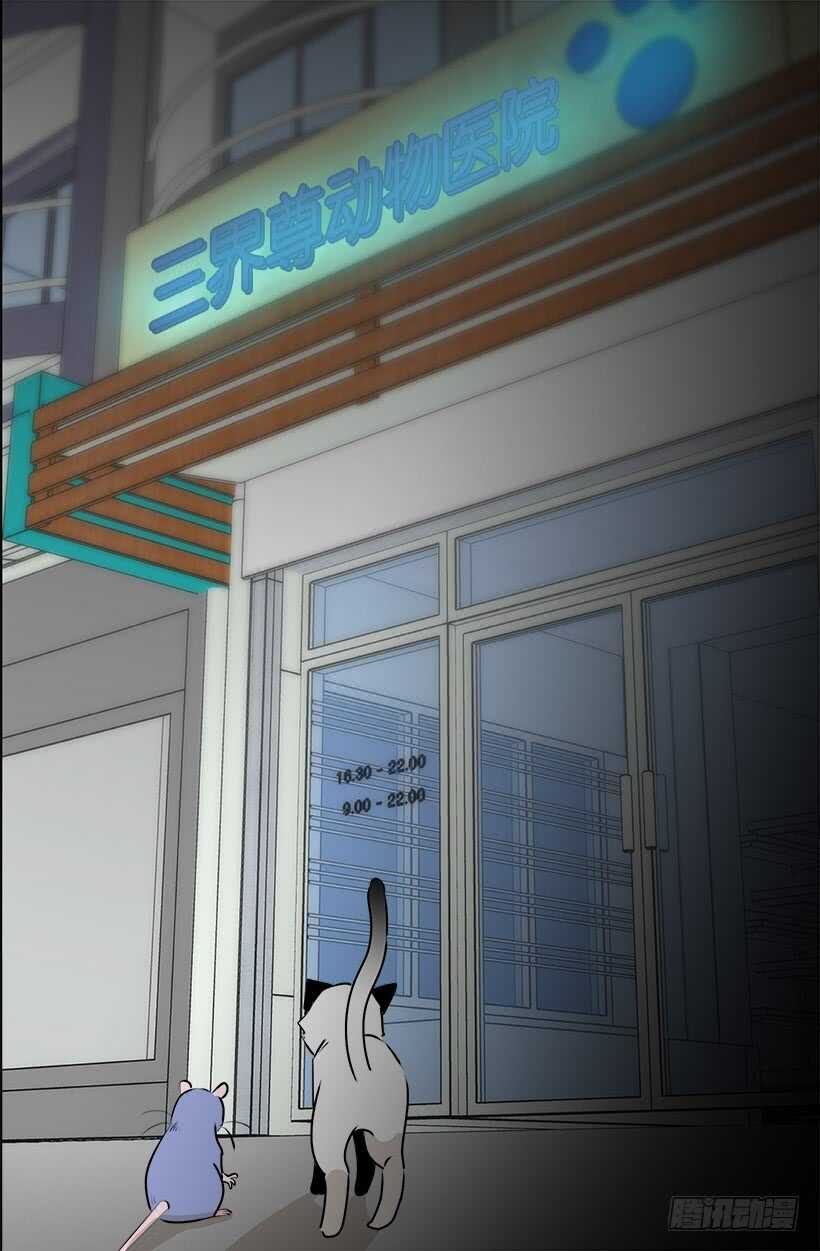 《被废弃的皇妃》开始行动了 第19页
