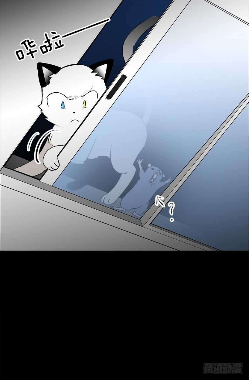 《被废弃的皇妃》开始行动了 第21页