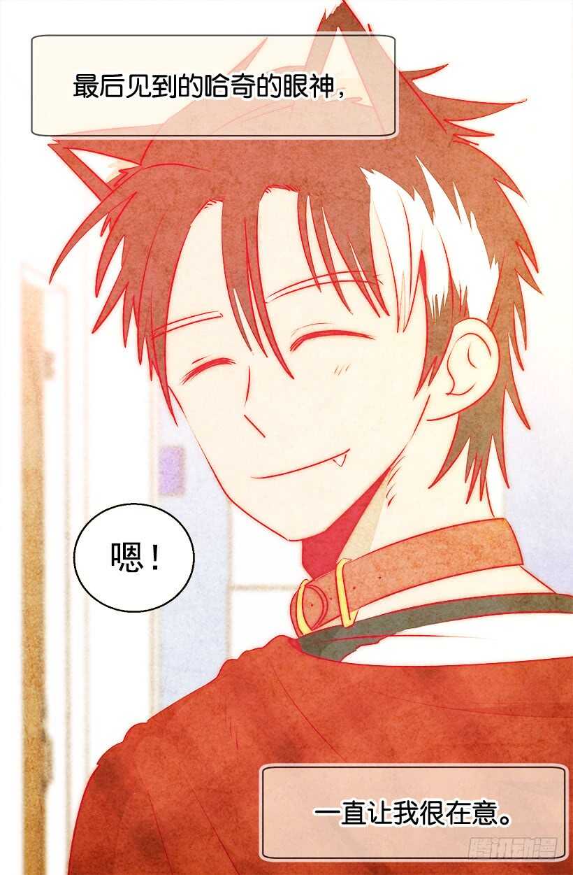 《被废弃的皇妃》开始行动了 第6页