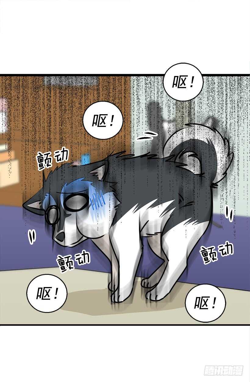 《被废弃的皇妃》他变了 第5页