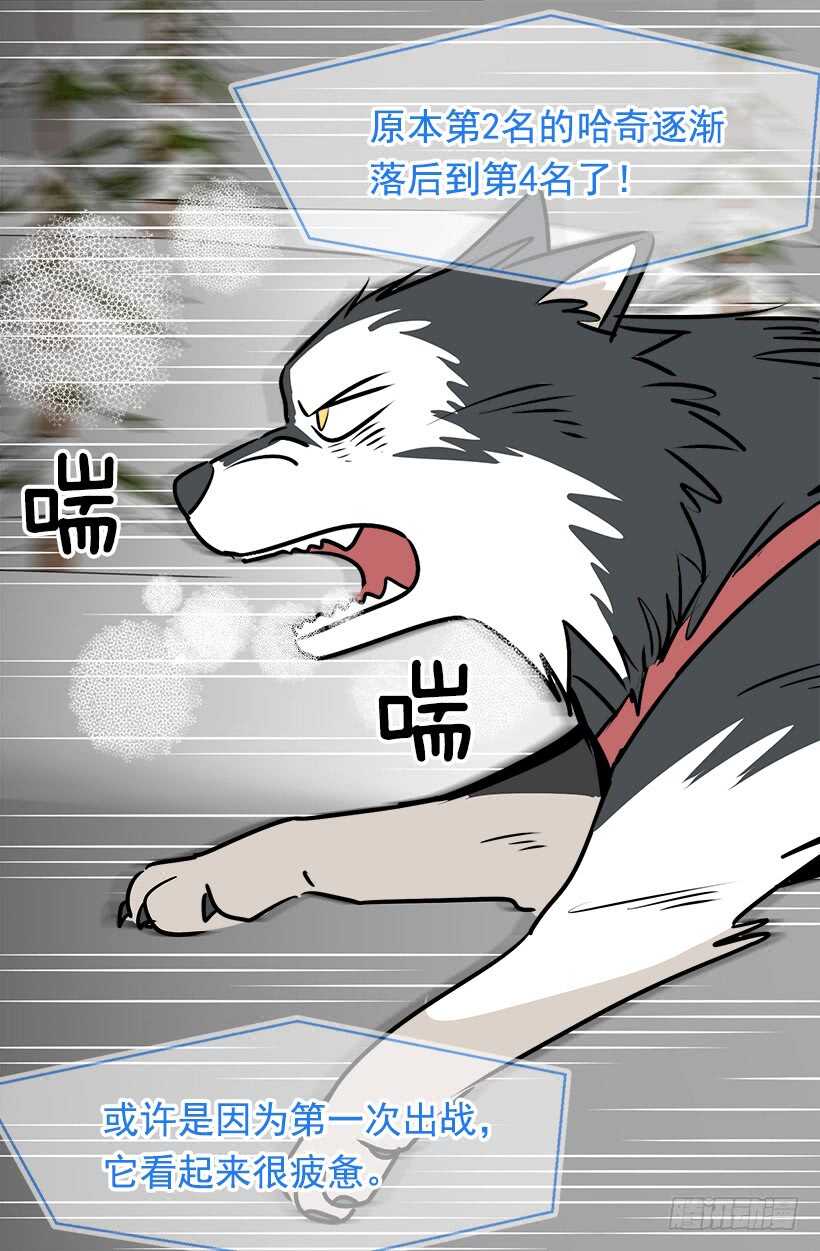 《被废弃的皇妃》来得及 第32页