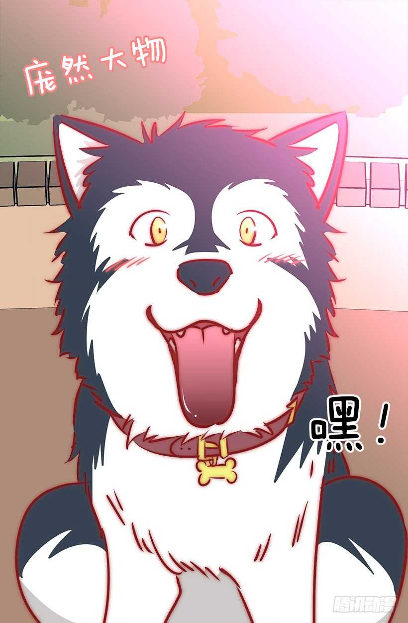 《被废弃的皇妃》再试吧 第17页