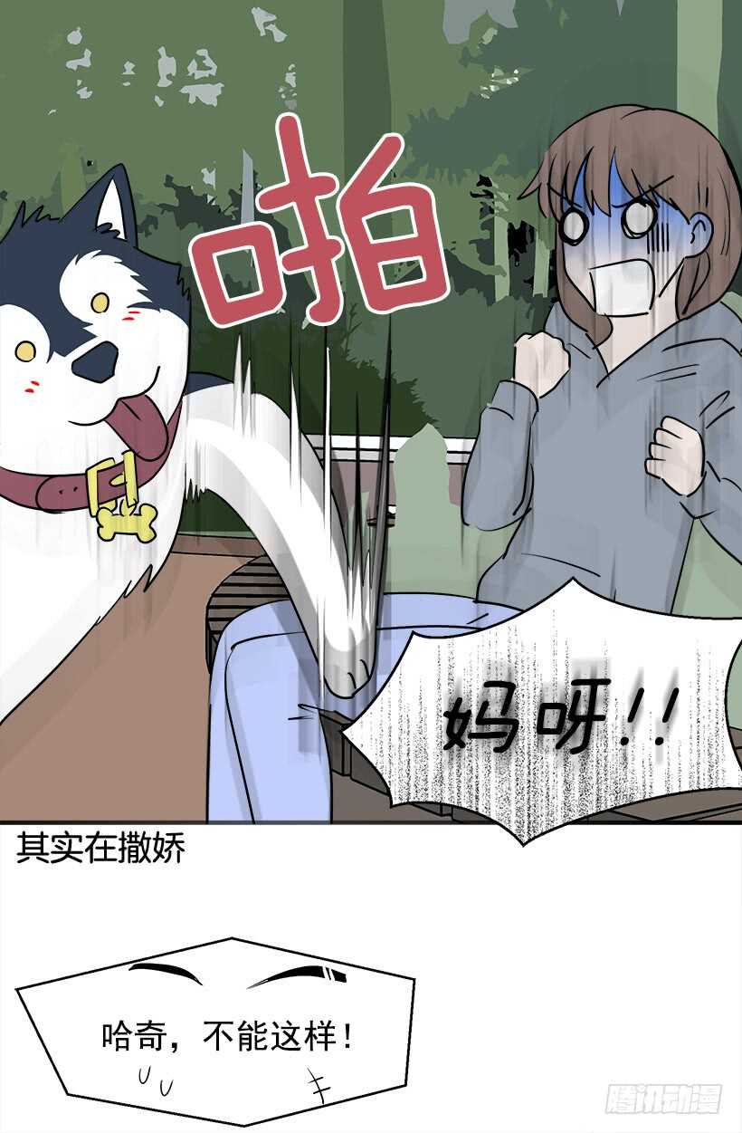 《被废弃的皇妃》再试吧 第19页