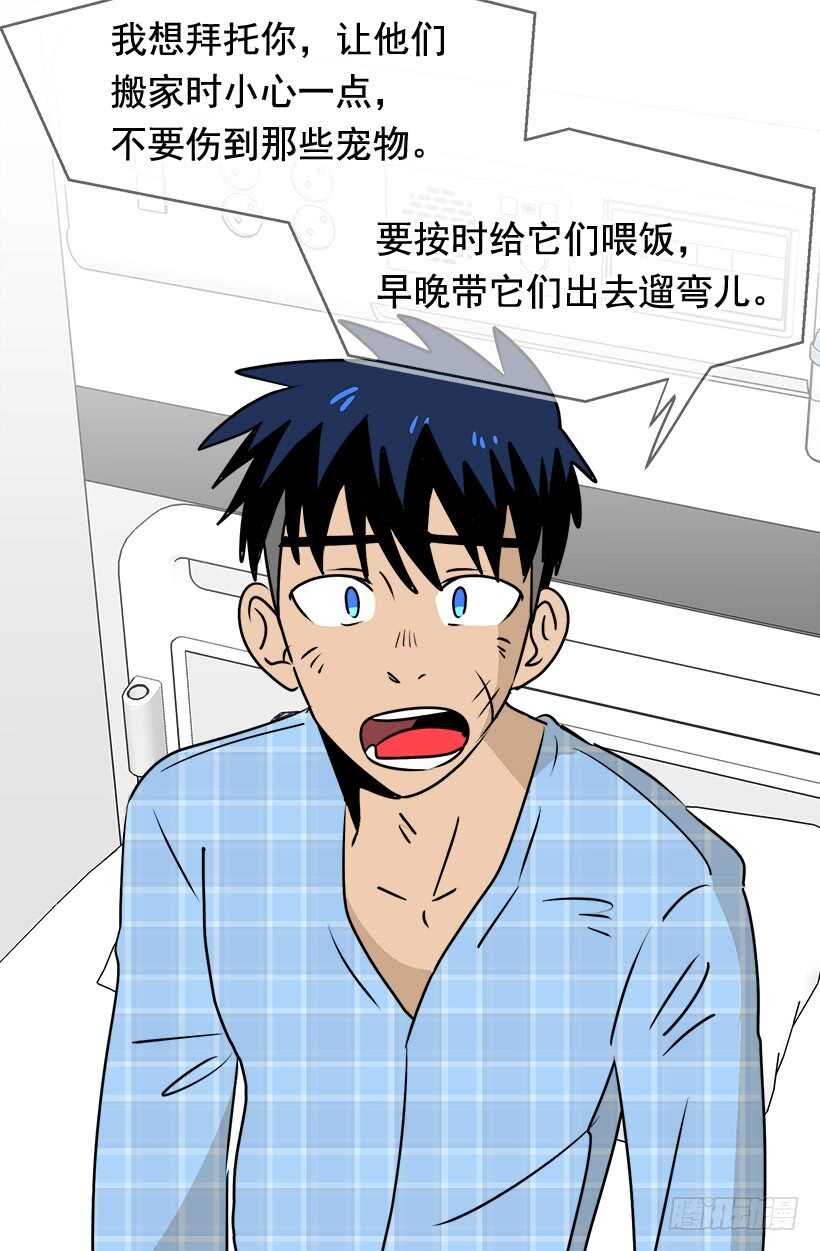 《被废弃的皇妃》第二季完结篇 第18页