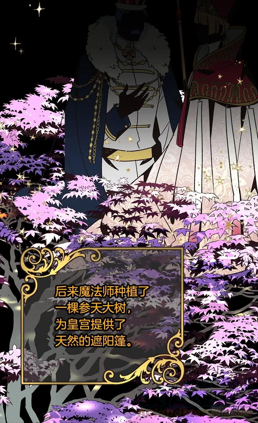《被废弃的皇妃》露娜 第17页