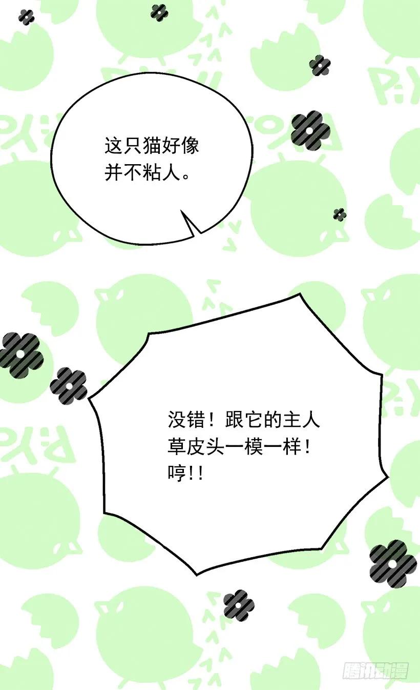 《被废弃的皇妃》露娜 第36页