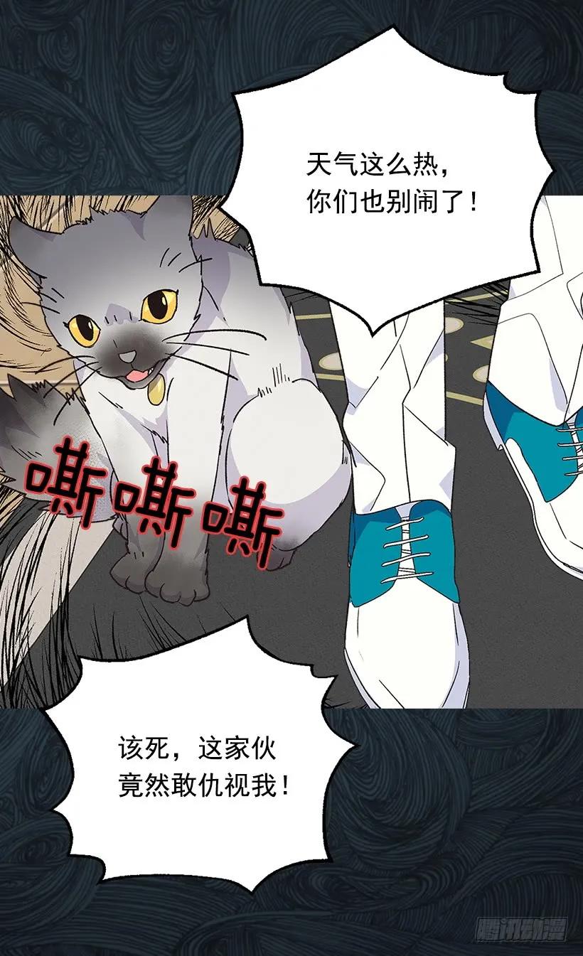 《被废弃的皇妃》露娜 第39页