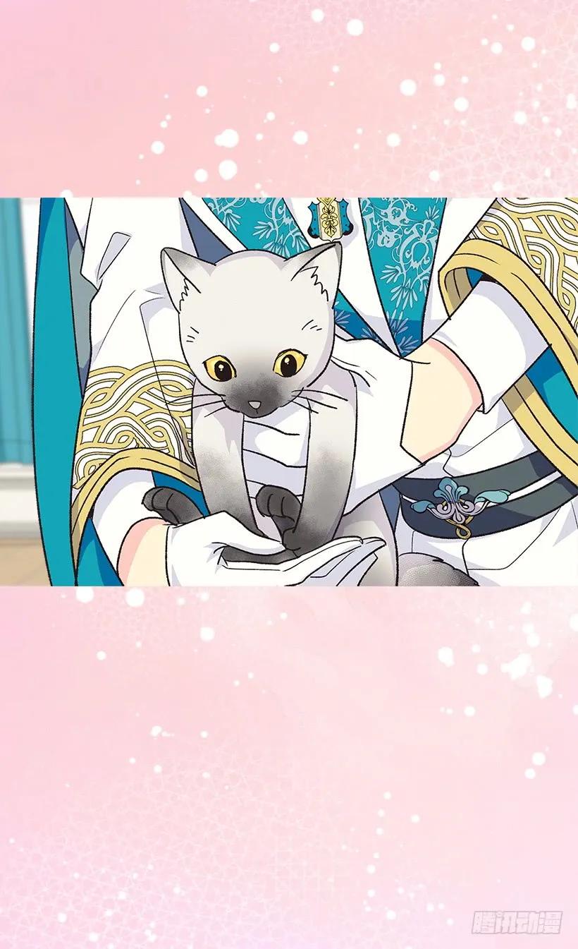 《被废弃的皇妃》露娜 第43页