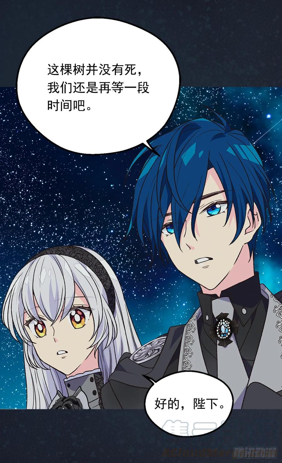 《被废弃的皇妃》陛下的身世 第5页
