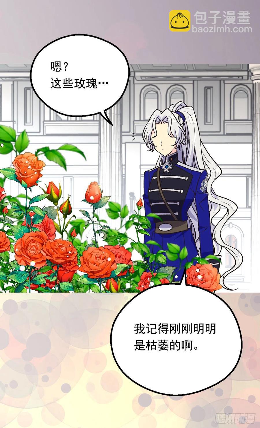《被废弃的皇妃》齐内公爵的计划 第30页