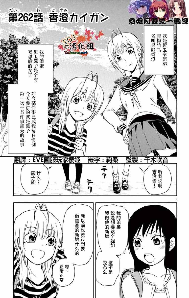《姐姐的妄想日记》第262话 第1页