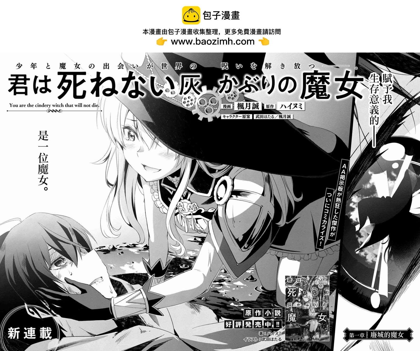 《不死的灰姑娘魔女》连载版01 第2页