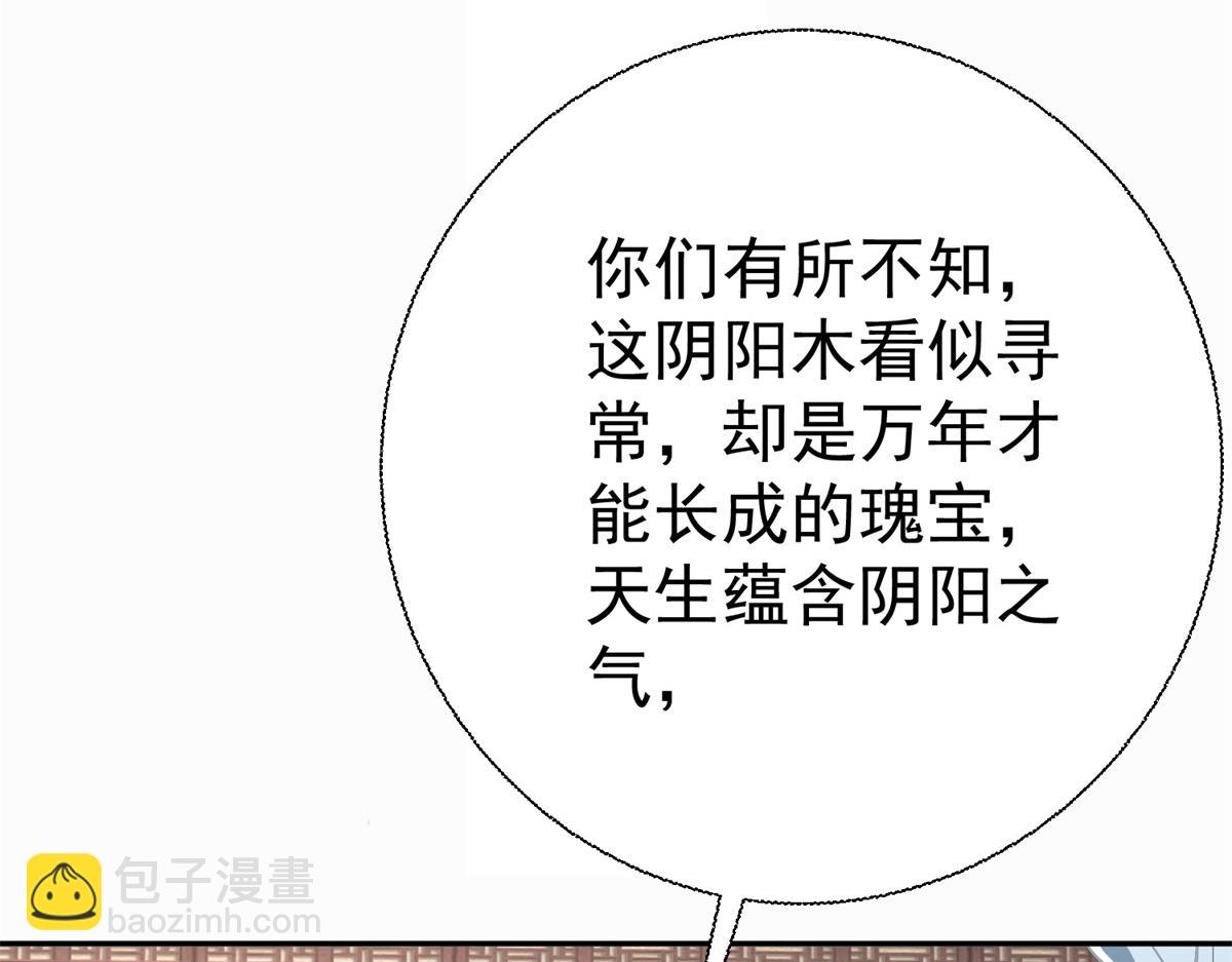 《至尊重生》第210话 阴阳木 第13页