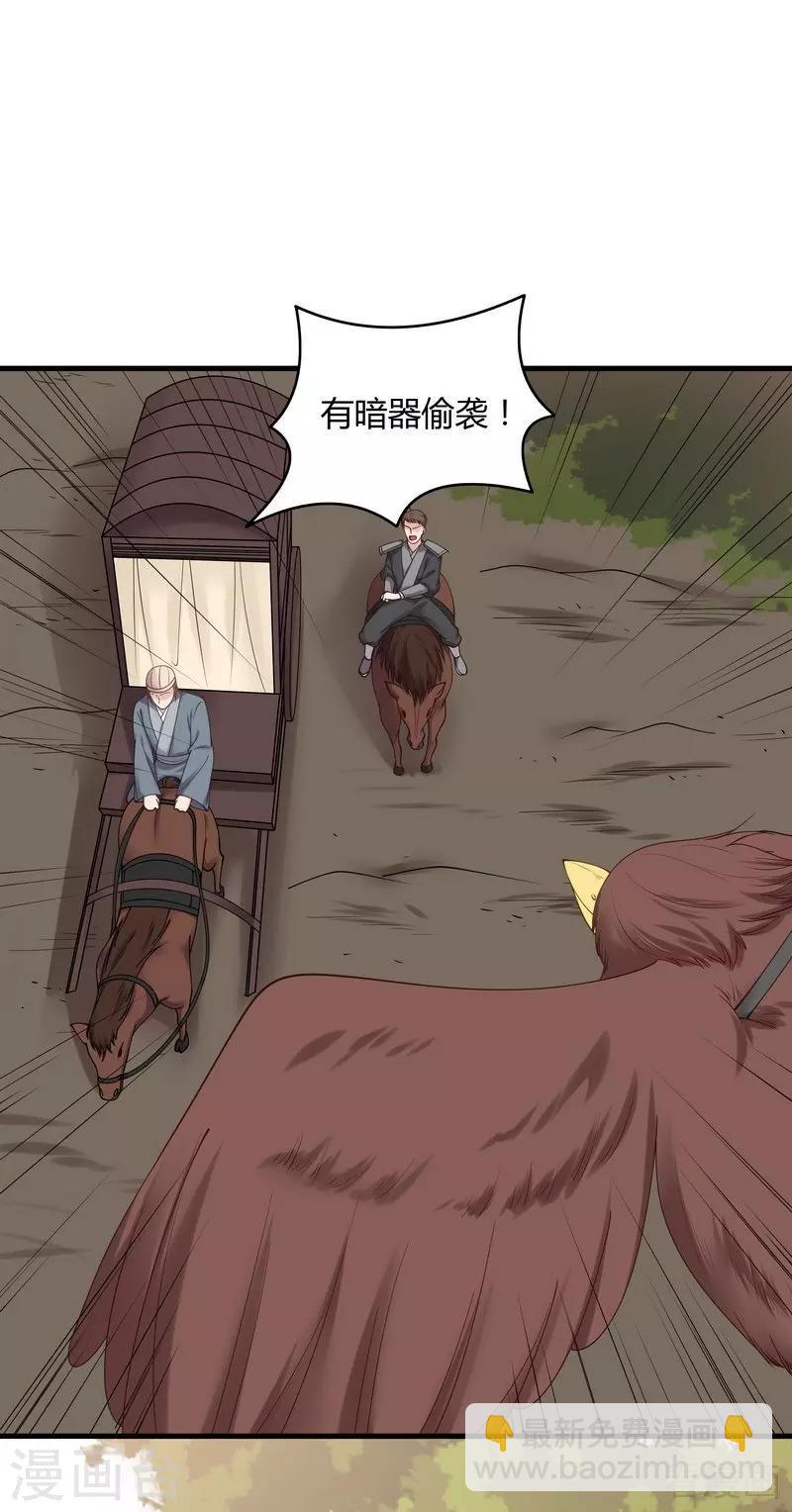 《神医毒妃太嚣张》第44话 好久不见君若怜！ 第7页