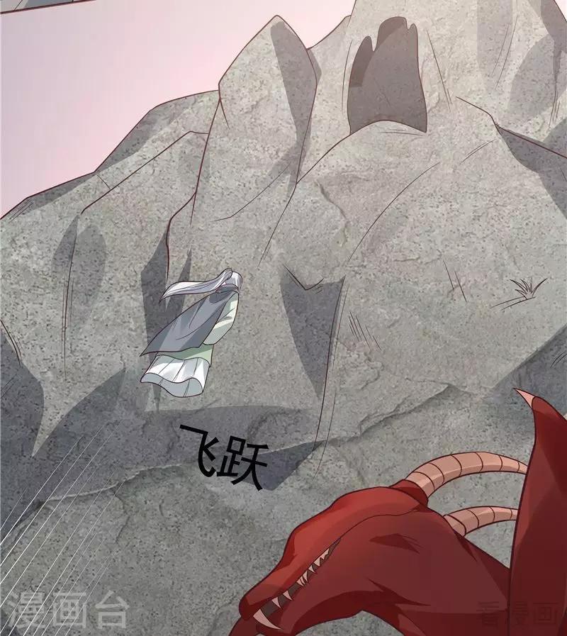 《神医毒妃太嚣张》第108话 二十三岁的九级玄师 第14页