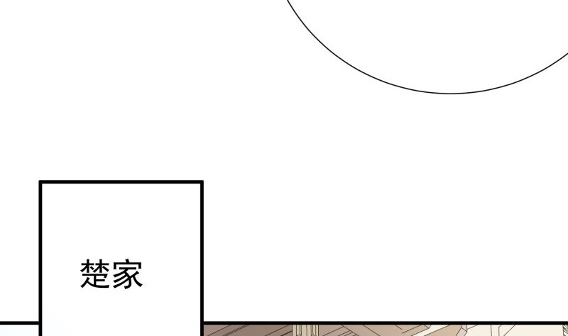 《恋与总裁物语》第185话 恒轩心中的秘密 第47页