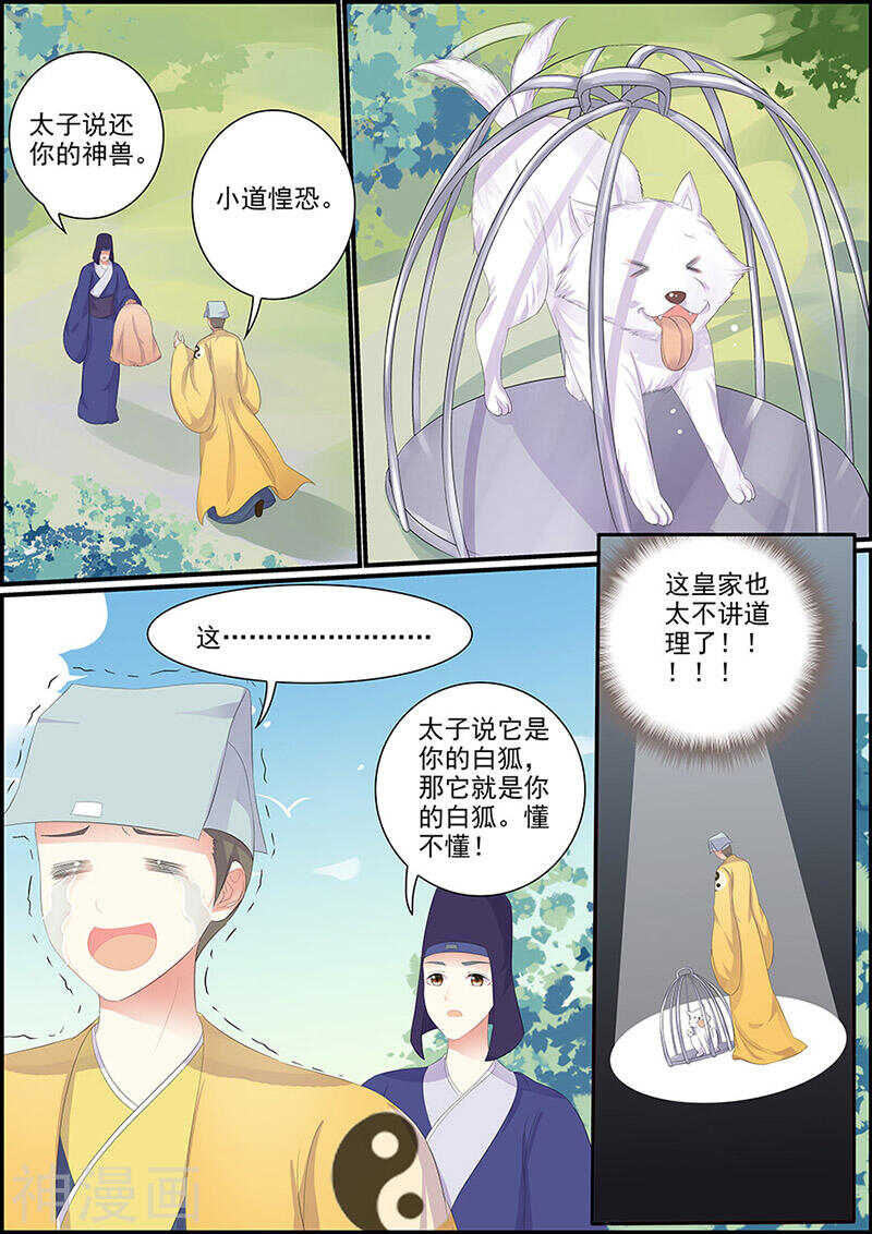 《追星逐月》第131话 一把匕首 第5页