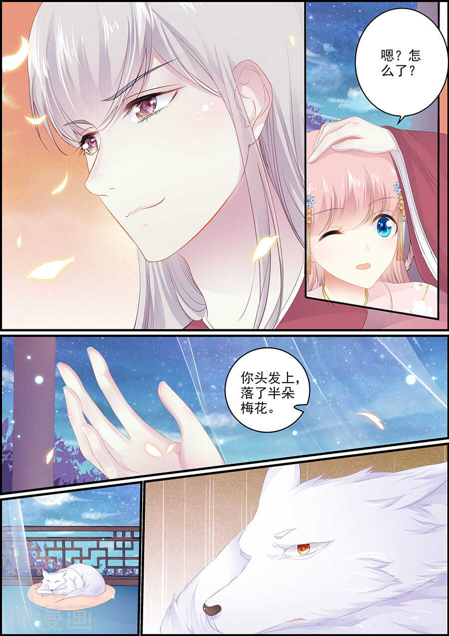 《追星逐月》第136话 心如止水 第5页