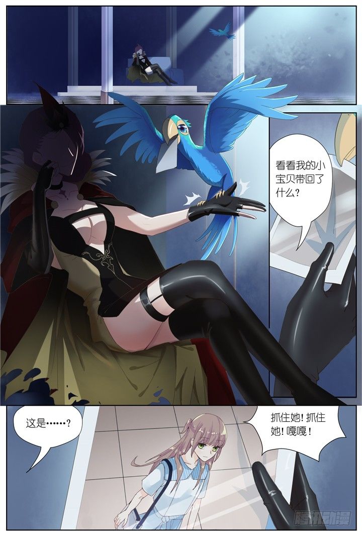 《妖怪IDOLS》64.万羽之城5 第8页