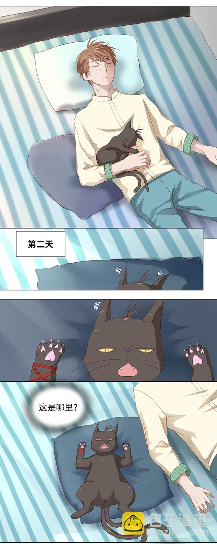 《妖怪镖局押送中》14 喵回来啦 第5页