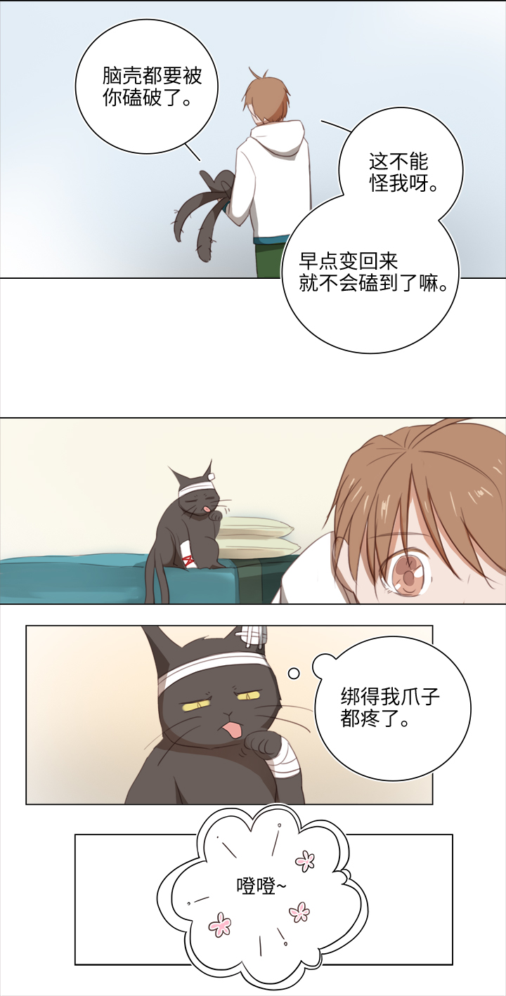 《妖怪镖局押送中》20 奇妙的邀请 第16页