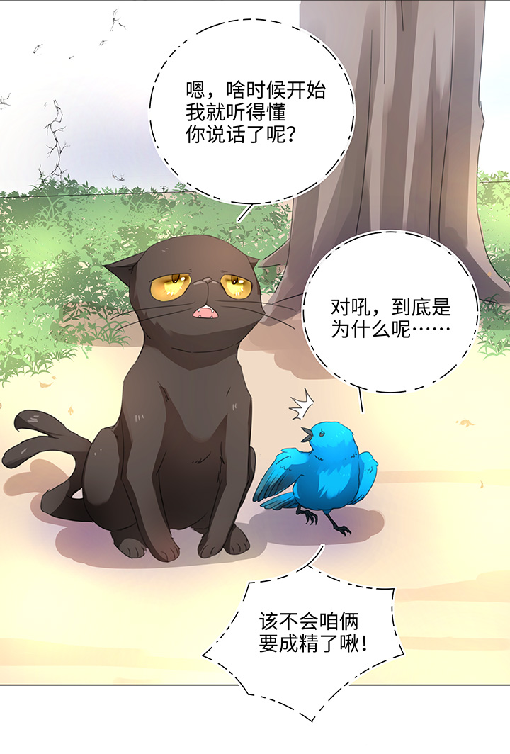 《妖怪镖局押送中》56 黑猫传说.一 第18页