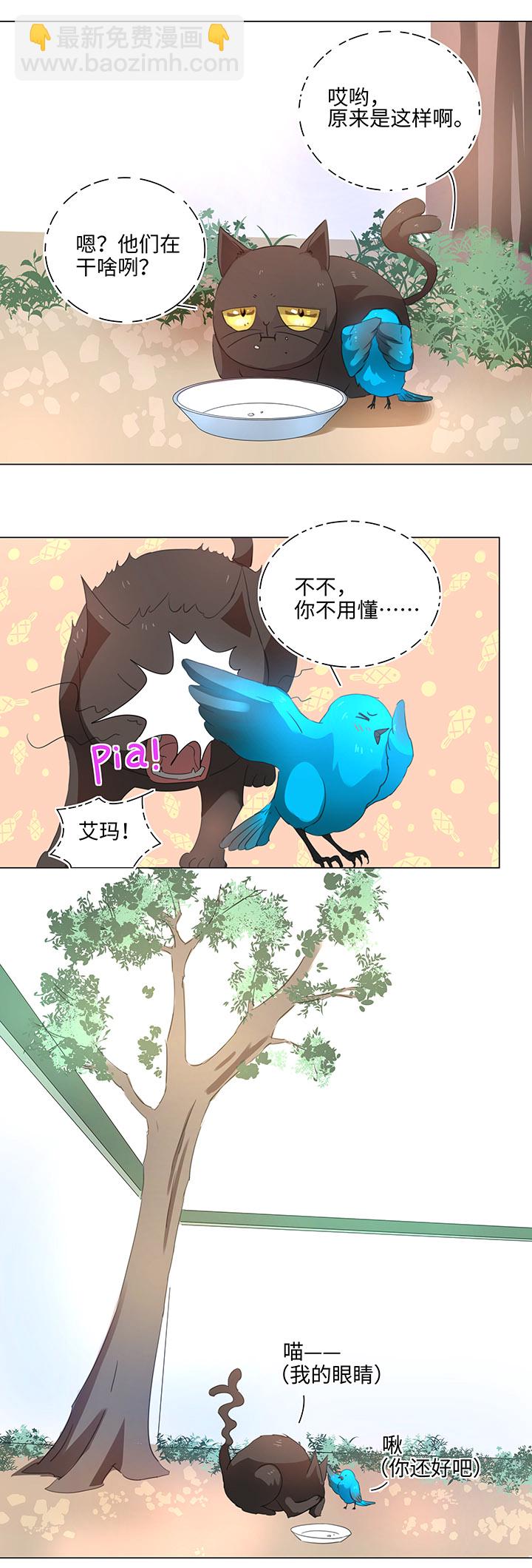 《妖怪镖局押送中》56 黑猫传说.一 第21页