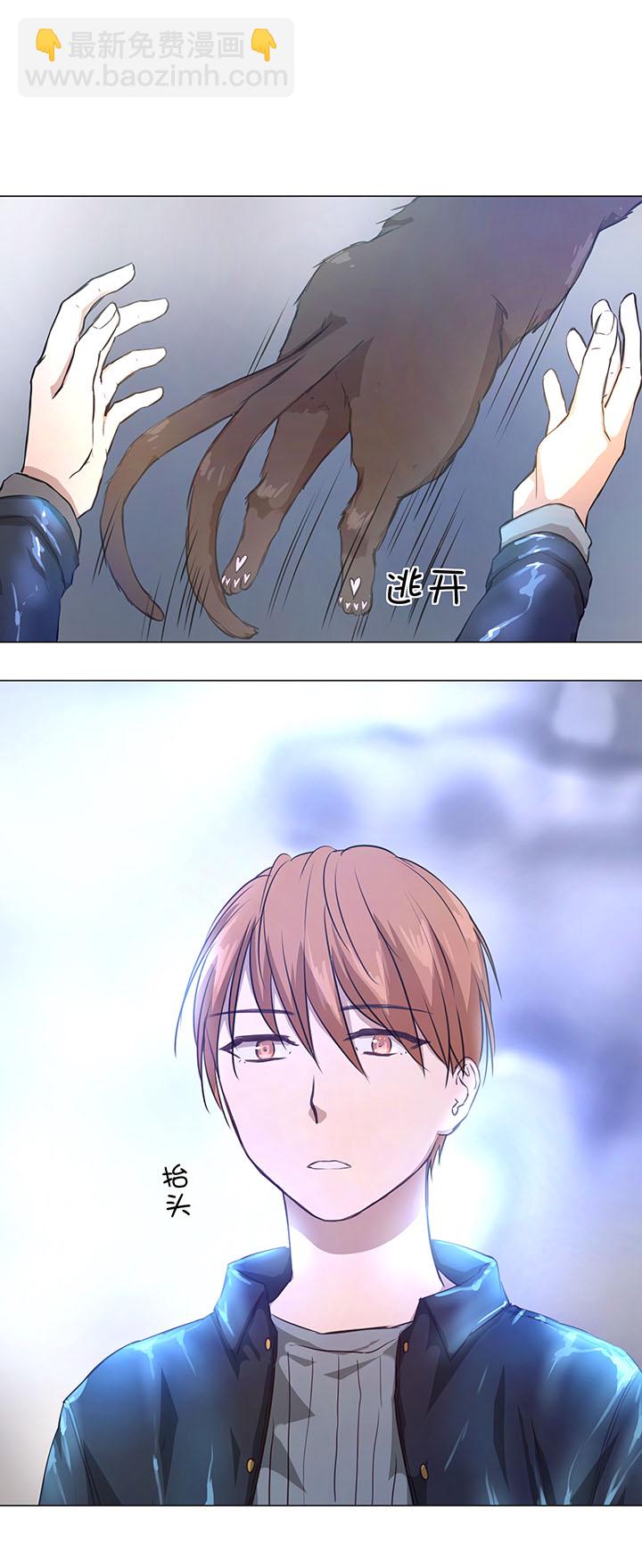 《妖怪镖局押送中》72 一场梦 第21页