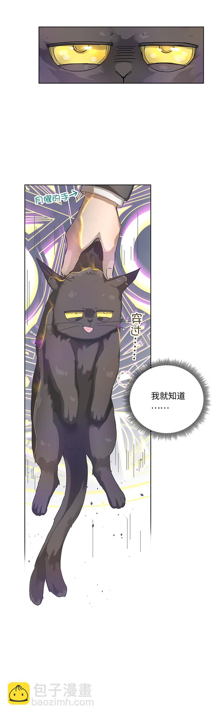 《妖怪镖局押送中》90 进入镇上 第11页