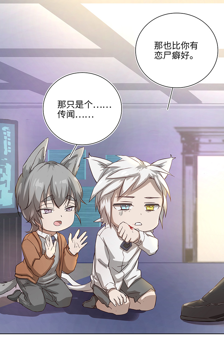 《妖怪镖局押送中》番外 泠珝与异色瞳狮子猫（下） 第13页