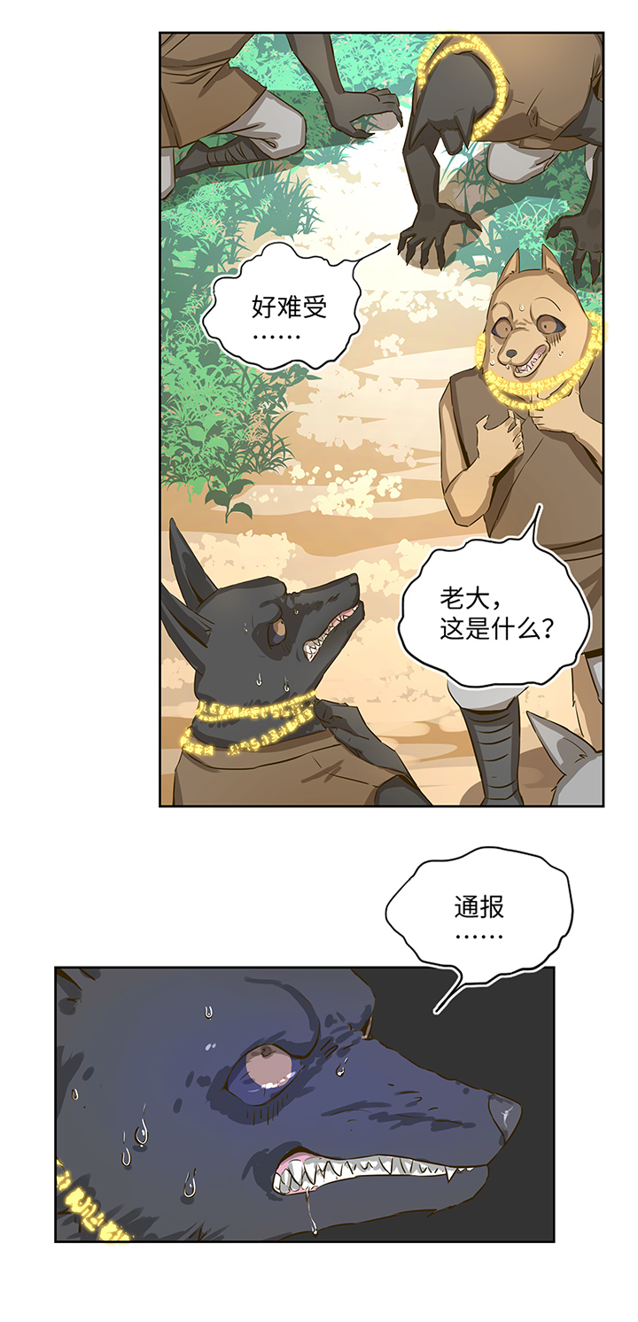 《妖怪镖局押送中》妖怪镖局22采药 第19页