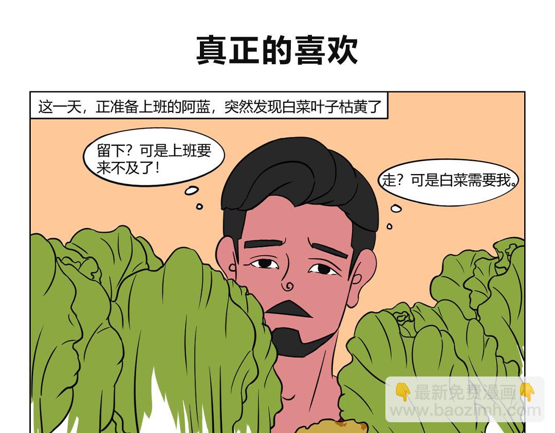 《拜托了我滴佛》29.大白菜呀，我的爱呀 第6页